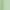 Runner Bean, variant on Secret Treasures Women's and Women's Plus Tank Chemise