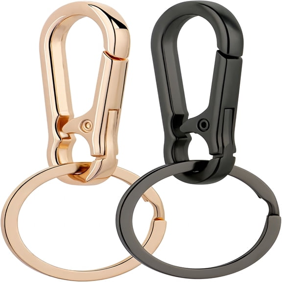 DESIGNICE Metal Keychains Keyring Key Chain Ring Clip Holder Organizer for Home Car Keys Key Finder Women Men