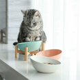 thumbnail image 4 of Porta cuencos elevado blanco Cuenco inclinado para perros y gatos Cerámica con soporte de madera de bambú Pequeño, 4 of 4