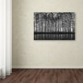 thumbnail image 3 of Roswitha Schleicher Schwarz 'Pointillism Nature' Canvas Art, 3 of 3