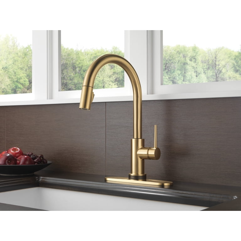 Delta Trinsic Single Handle Pull-Down Sprayer Kitchen Sink Faucet
