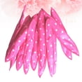 thumbnail image 2 of 30 piezas de herramientas para rizar el cabello con forma de orejas de conejo para dormir, herramientas para rizar el cabello ondulado para mujeres, 2 of 7