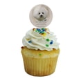 thumbnail image 5 of Bichon Frise Dog Breed Cupcake Picks Toppers Decoration Set of 6, 5 of 7