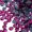 Fuchsia, variant on Crystal Lane DIY SS20 (4.7mm) Fuchsia Glass Flat Back Hotfix Rhinestones, 1440pcs