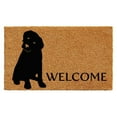 thumbnail image 1 of Calloway Mills 102962436 2 x 3 ft. Labrador Rectangular Doormat, Natural & Black, 1 of 4