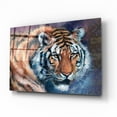 thumbnail image 2 of Epic Art 'Tiger Tales' by Robert Campbell, Acrylic Glass Wall Art, 16"x12", 2 of 8