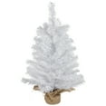 thumbnail image 2 of Northlight Medium Mini White Balsam Pine Artificial Christmas Tree with Burlap Base - 24" - Unlit, 2 of 6