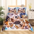 thumbnail image 2 of YingD Guinea Pig 3D Animal Theme Bedspread Cover Double 3Pcs Bedding Set, 2 of 4