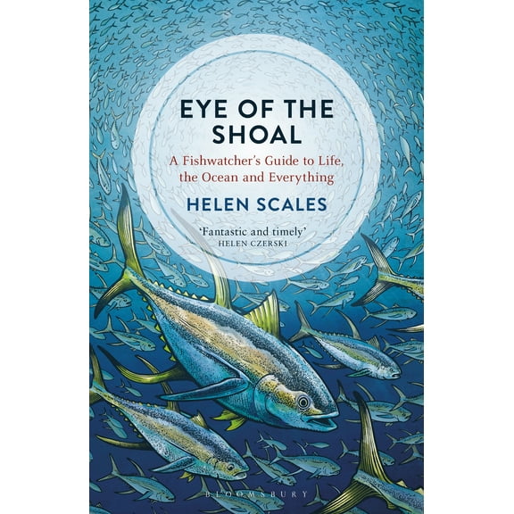 Eye of the Shoal : A Fishwatcher's Guide to Life, the Ocean and Everything (Paperback)