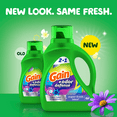 thumbnail image 2 of Gain Odor Defense Super Fresh Blast Liquid Laundry Detergent 46 fl oz - Pack of 1, 2 of 4