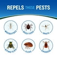 thumbnail image 5 of (2 pack) Cutter Backwoods Insect and Mosquito Repellent, Bug Spray with 25% DEET, 2 Pack, 5 of 14