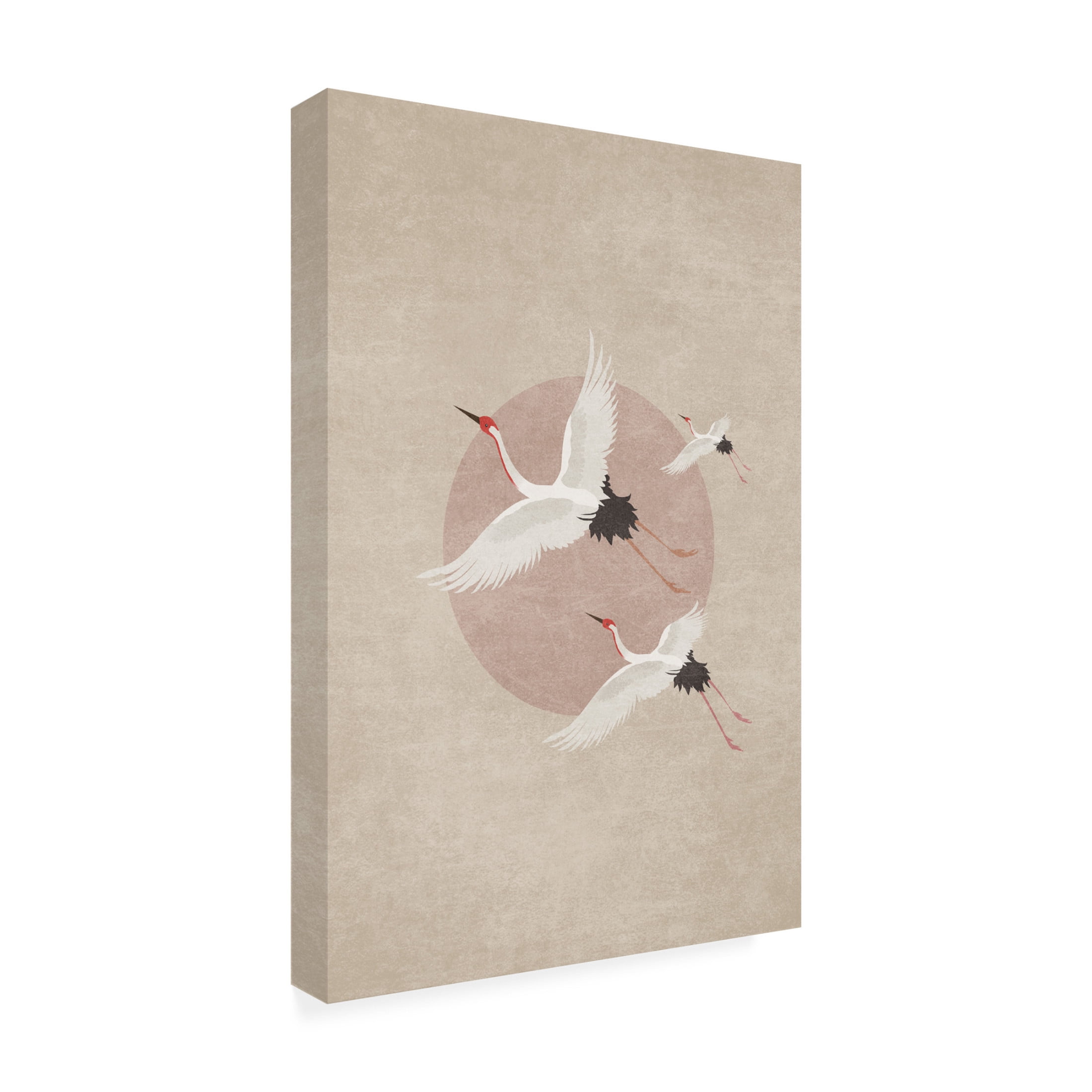 Trademark Fine Art Emel Tunaboylu Iso Lightt Canvas Wall Art