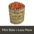 thumbnail image 4 of Field+Forest by Kaytee Mini Hay Bale Carrot 3.5 oz, 4 of 10