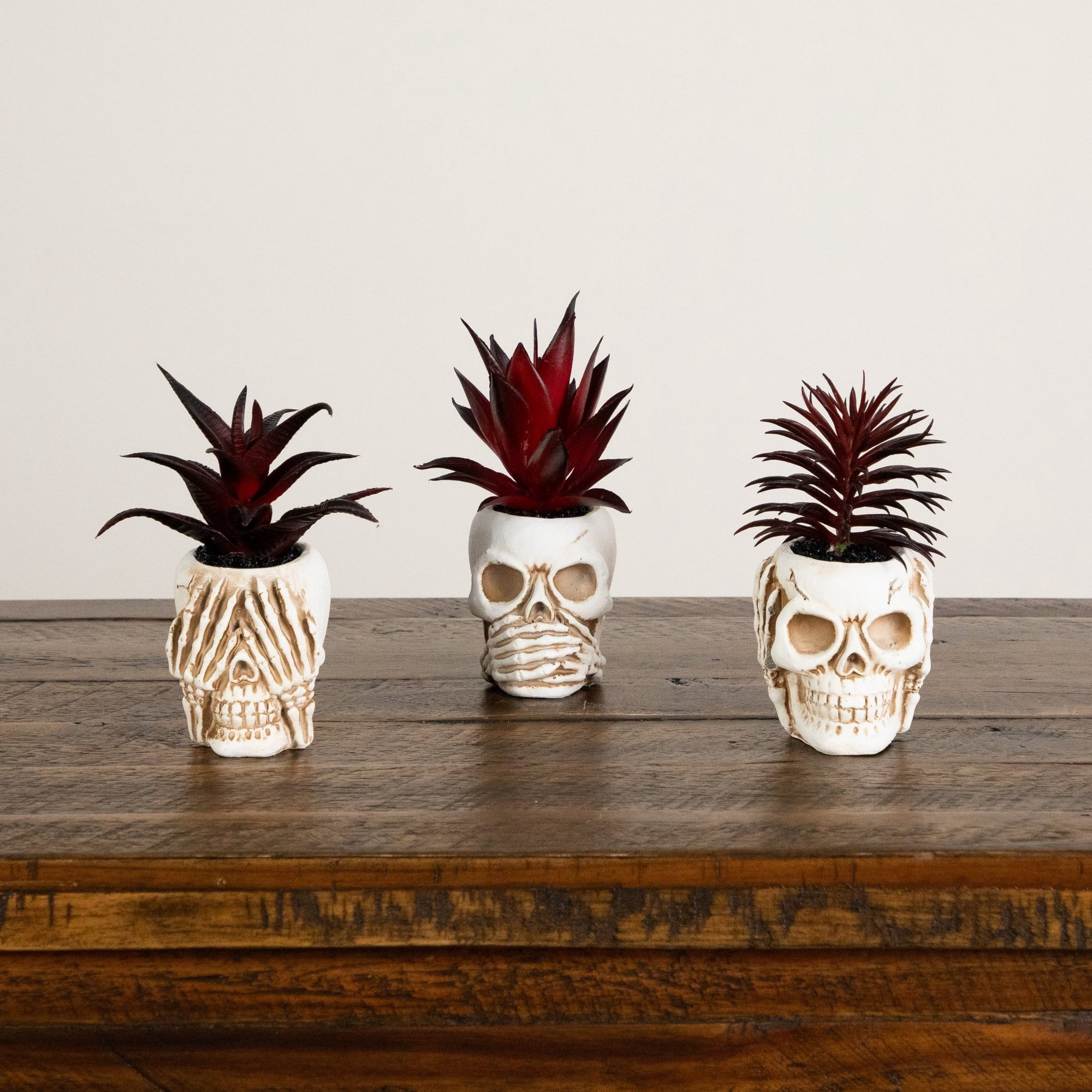 6in. Artificial Halloween Speak, Hear, See No Evil Succulent Plant Skull Decor - Set of 3