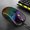 Black wired, variant on Xiaomi 2.4G Wireless Gaming Mouse Portable Wired Mouse RGB Lighting Charging Mouse Ergonomic Honeycomb Design for Desktop Laptop