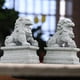 thumbnail image 4 of 1 par de estatuas de leones de estilo asiático Colco decoración de jardín piedra en miniatura 4,5 cm x 3 cm x 2,2 cm, 4 of 8