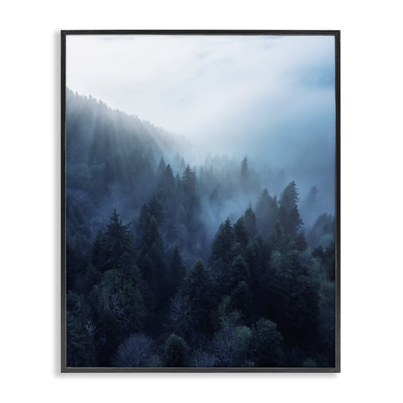 Stupell Industries Farmhouse Daylight over Pine Forest Black Framed Giclee Art, 11 x 14, by Unsplash