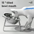 thumbnail image 3 of Elevated Cats Bowl,Raised Stainless Steel Cats Food Bowl with Antis Slip Metal Stand Whiskers Friendly Food Water Dishes, 3 of 9