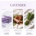 thumbnail image 5 of Air Jungles Car Air Freshener Hanging Diffuser 3 Ct, Lavender Scent, 8 ml Each, Natural Essential Oil, Everyday Freshness Fragrance, Auto Accessories for Men and Women, For Rearview Mirror, 5 of 5