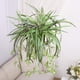 thumbnail image 5 of Flor artificial, orquídea colgante artificial, enredadera artificial, material para pared, decoración de pared, mimbre artificial, verde, 5 of 6