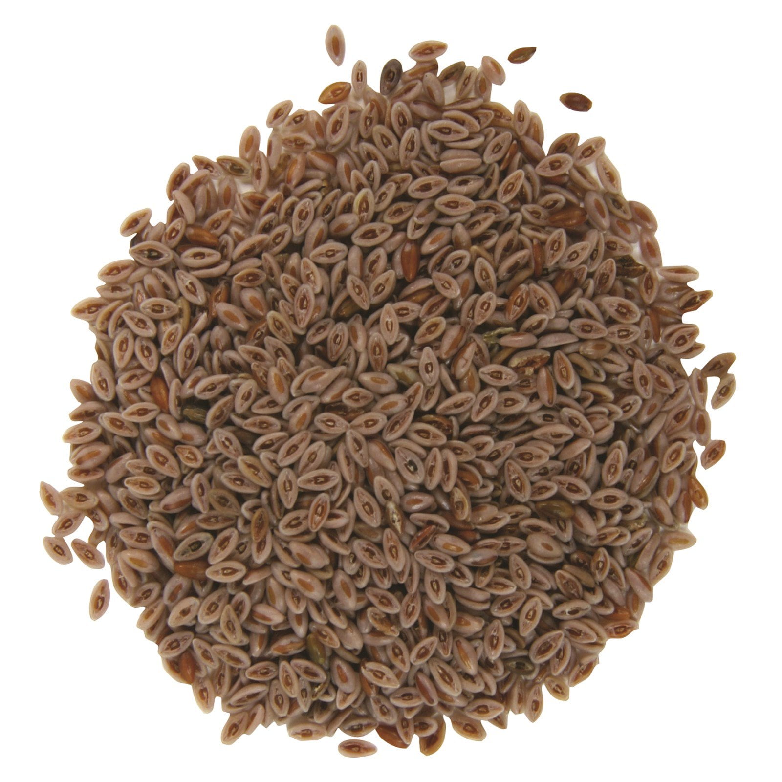 Whole Psyllium Husk, 16 oz (453 g), Frontier Co-Op