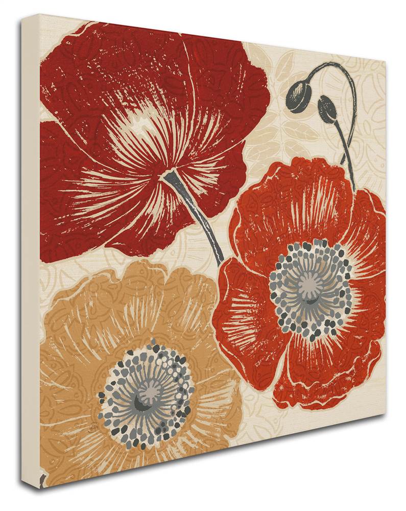 Trademark Fine Art "A Poppy's Touch II" Canvas Art by Daphne Brissonnet