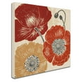 thumbnail image 2 of Trademark Fine Art "A Poppy's Touch II" Canvas Art by Daphne Brissonnet, 2 of 3