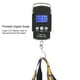 thumbnail image 4 of Báscula digital, 50 kg/10 g, portátil, electrónica, LCD, báscula digital electrónica, KG, báscula digital, diseño de última generación, 4 of 8