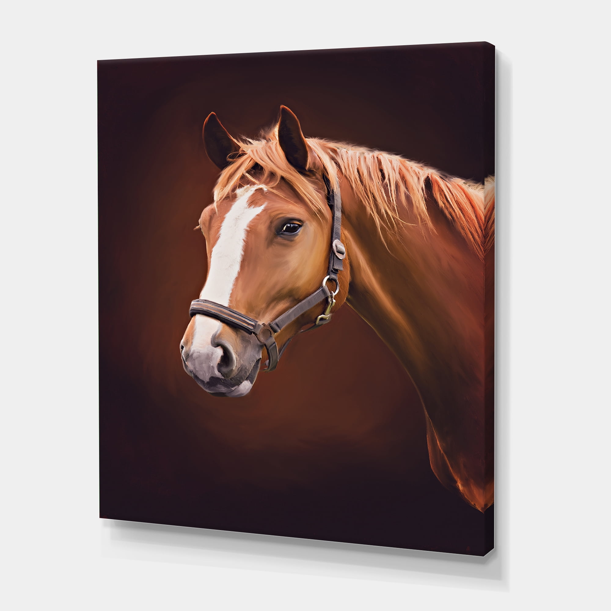 Designart ' Close Up Portrait Of Brown Horse With White Nose II ' Farmhouse Canvas Wall Art Print
