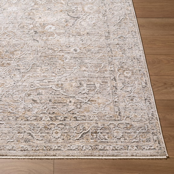 Hauteloom Eliava Living Room, Bedroom Area Rug - Traditional - Light Gray, Beige, Gray - 5' x 7'5"