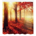 thumbnail image 3 of Ambesonne Fall Shower Curtain, Misty Morning in Forest, 69"Wx75"L, Yellow Red, 3 of 5