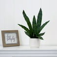 thumbnail image 4 of Nearly Natural 16in. Artificial Sansevieria Snake Plant with Decorative Planter , Green, 4 of 5