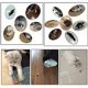 thumbnail image 3 of Juego de 2 juguetes para gatos: eléctrico, de ratón, automático y de agilidad., 3 of 4