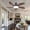 Brown, variant on PHORUS 48" Low Profile Ceiling Fan with Dimmable LED Light, Quiet Reversible DC Motor, 6 Speeds, Remote & App Control – For Indoor & Covered Outdoor Use, Brown
