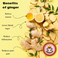 thumbnail image 5 of Meekus Honey Ginger Tea Oolong Flavor 20 sachets X 0.63 Oz(12.6 Oz) 18g(360g), 5 of 6