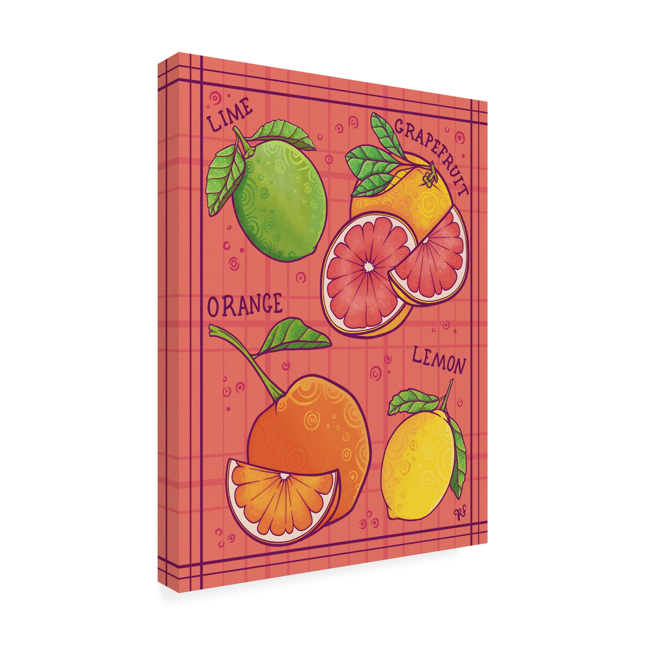 Canvas Wall Art - Rachel Feirman 'Sweet and Sour' Wall Art for Living Room, Bedroom, or Office Décor by Trademark Fine Art - 35 x 47 Inches