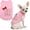 Big Sister, variant on Pet Dog Shirt – 100% Cotton Shirts – Sleeveless Puppy Clothes – Lightweight and Breathable Dog Apparel Daddy’s Girl Pet Shirt