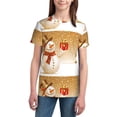 thumbnail image 2 of Fuzoiu Christmas Snowman Gift Print Youth Short Sleeve T-Shirt,Youth Dry-Fit Active Athletic T-Shirt,Short Sleeve Tops Tees for School, Sports, and Casual Wear, 2 of 6