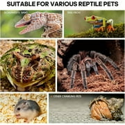 Acrylic Jumping Spider Habitat & Insect Terrarium - Enclosures for Praying Mantises, Frogs & Small Bugs