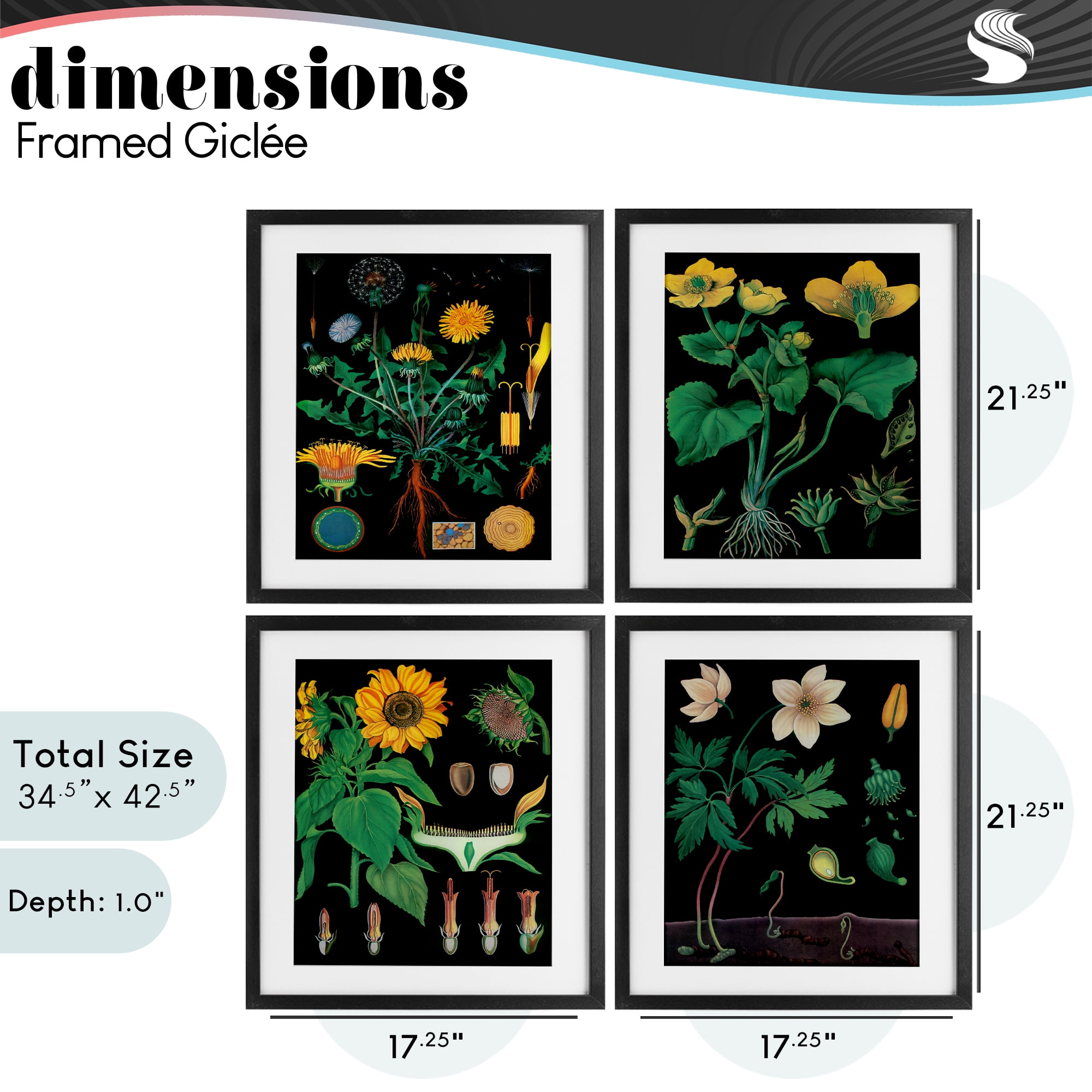 Stupell Industries Botanical Illustrations on Black 4 Piece Black Framed Print Under Glass Set, design by Vintage Hustle