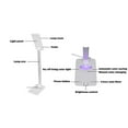 thumbnail image 4 of Smart Touch LED Desk Lamp for Kids, 4 of 5