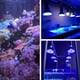 thumbnail image 3 of Luces de Acuario LED, 18W 18 PCS LED DE ESPECTRO FIESTO TANTADOR DE PESCO LIGHT PARAL PARA ALGAS, 3 of 7