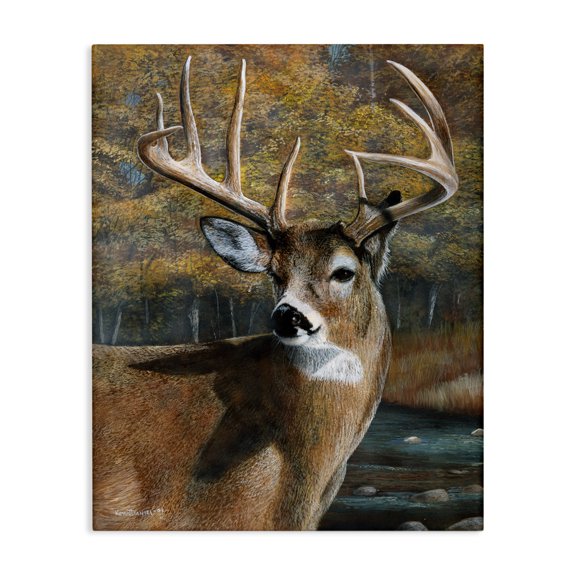 Stupell Industries Farmhouse Woodland Deer Portrait Canvas Art, 24 x 30, by Kevin Daniel