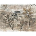 thumbnail image 3 of OToole, Tim 18x15 Black Modern Framed Museum Art Print Titled - Leaf Motif II, 3 of 5