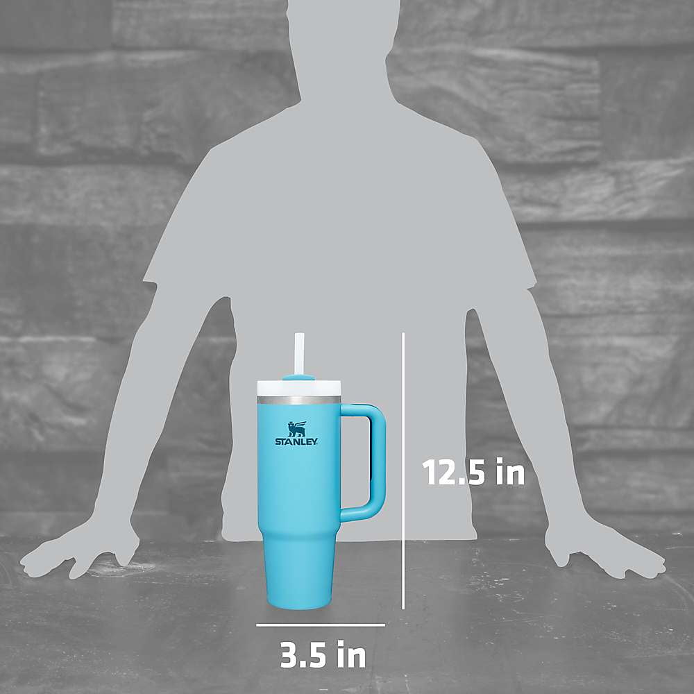 30 oz black stanley tumbler｜TikTok Search