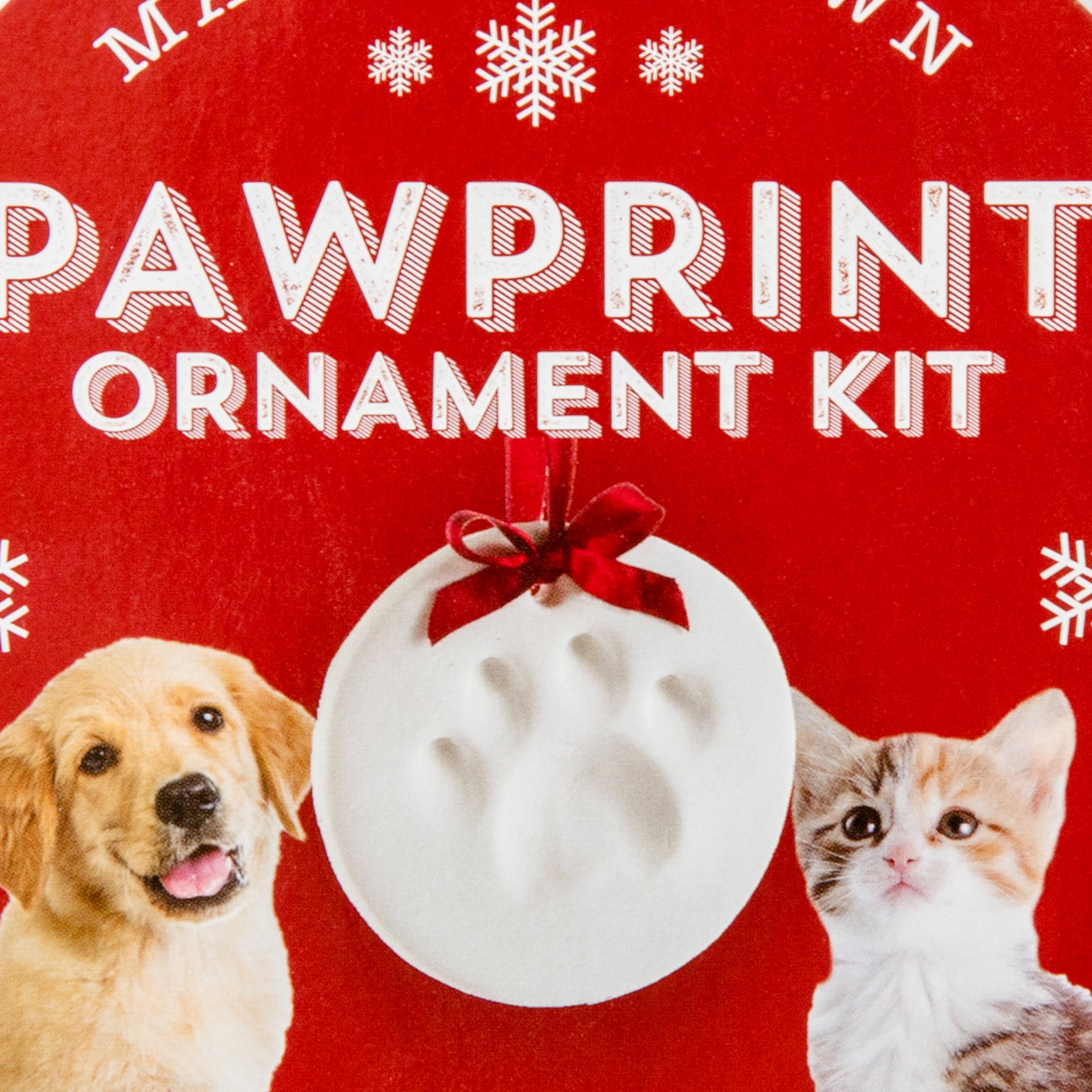 Single Paw Ornament Kit