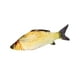 thumbnail image 5 of Lindos juguetes de peluche de peces, suaves almohadas para abrazar para San Valentín carpa cruciana 60cm, 5 of 9