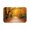 Color 4, variant on SPXUBZ Autumn Highland Cow with Pumpkins Non Slip Flannel Floor Mat for Bathroom Kitchen Bedroom Decor 16x24 inch