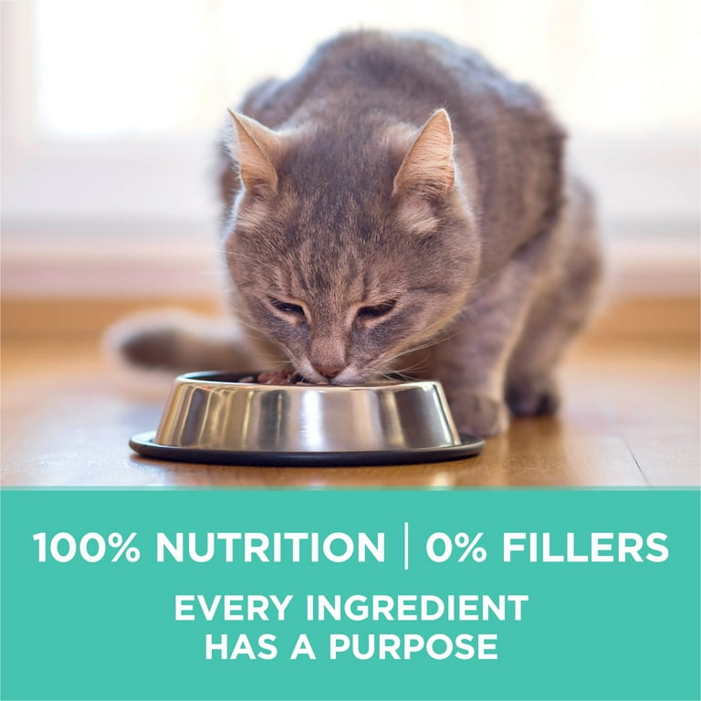 Purina one hairball formula 7 lb online