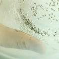 thumbnail image 5 of Rep-Cal Herptivite Multivitamin (BLUE), 5 of 7